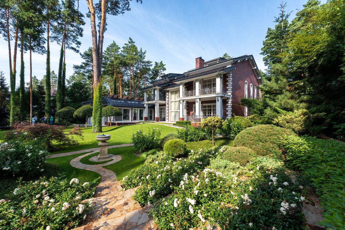 Lush green residential lawn and manicured garden in a sunny Charleston, SC yard, free of chinch bug damage